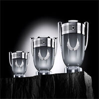 INVICTUS PLATINUM 200ml-206273 INVICTUS PLATINUM 200ml-206273 5